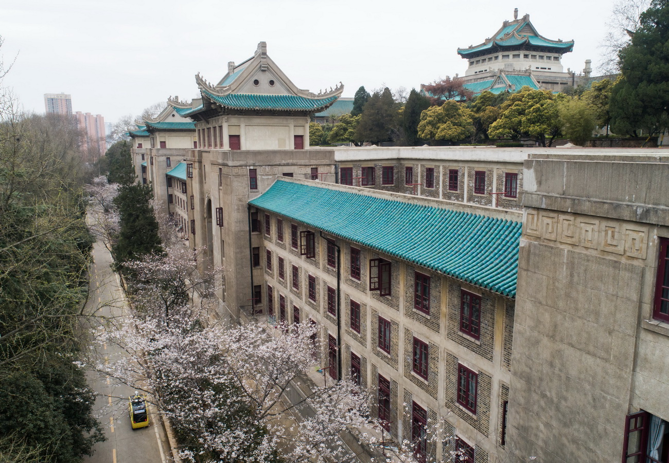 武汉大学校园一角（3月16日摄）。