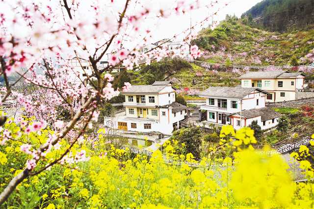 土家古寨 美丽乡村