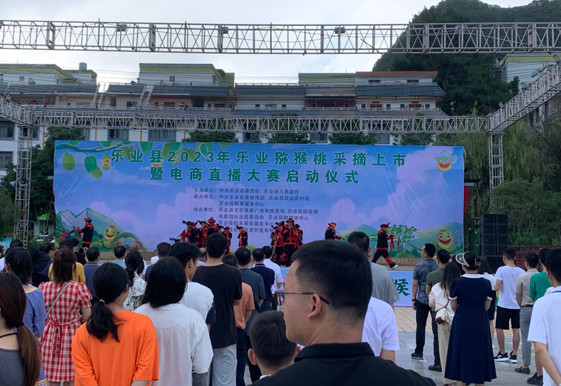 广西乐业：猕猴桃采摘上市 助农增收产业兴