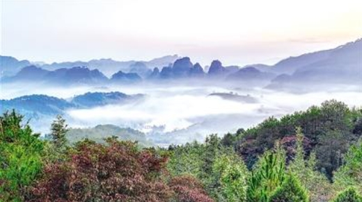 深秋的武夷山国家公园 生态美景惹人醉