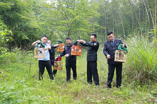 南山国家公园候选区：五只国家二级重点保护野生动物画眉鸟放归大自然
