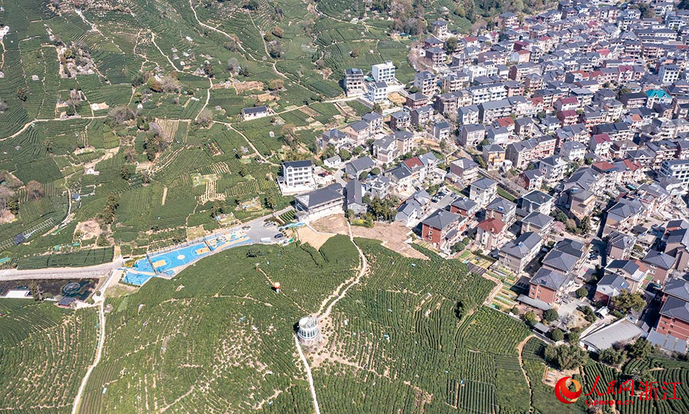 空中俯瞰杭州市西湖区转塘街道桐坞村，茶山连绵、风景如画，家家户户都以茶为生、靠茶为业。人民网 章勇涛摄