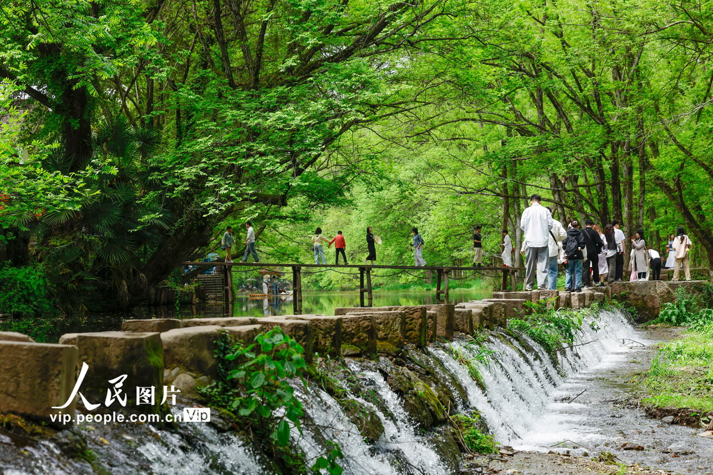 安徽黄山：春风又绿西溪南【7】